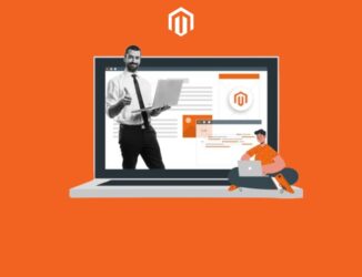 Hire Magento Developer