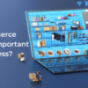 Why Is Ecommerce Web Design Important for Your Business?