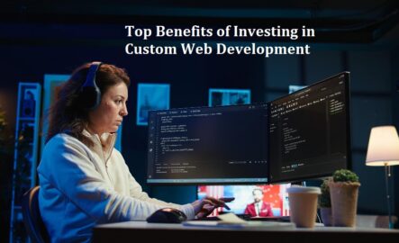 Top Benefits of Investing in Custom Web Development